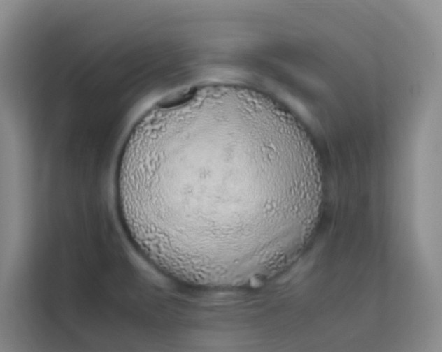 X0000113641471200910091527