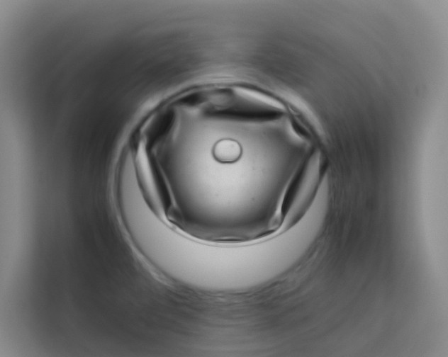 X0000113641472200910091527