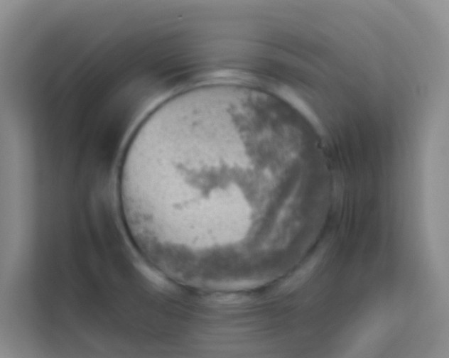 X0000113641474200910091527