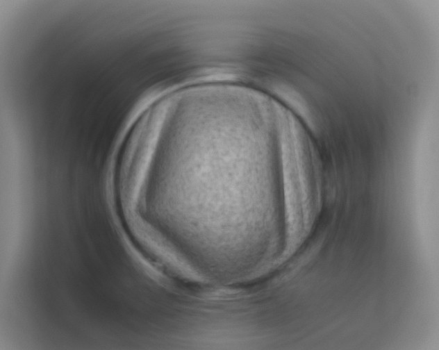 X0000113641475200910091527