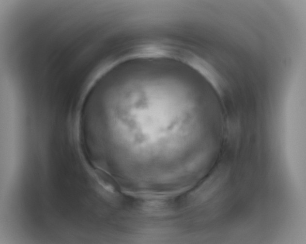 X0000113641477200910091527