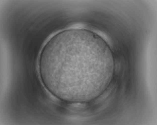 X0000113641478200910091527