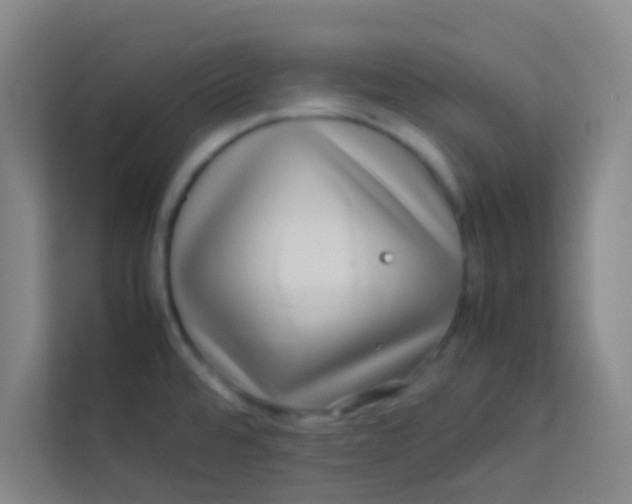 X0000113641480200910091527