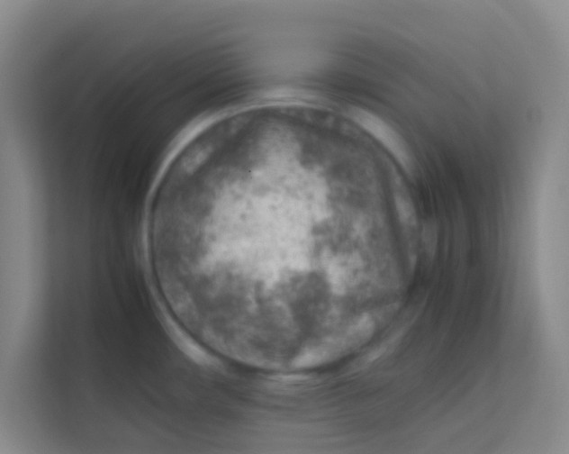 X0000113641482200910091527