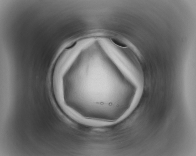 X0000113641483200910091527