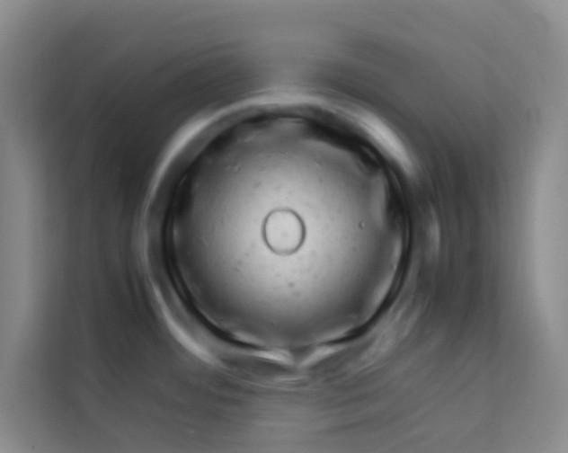 X0000113641484200910091527