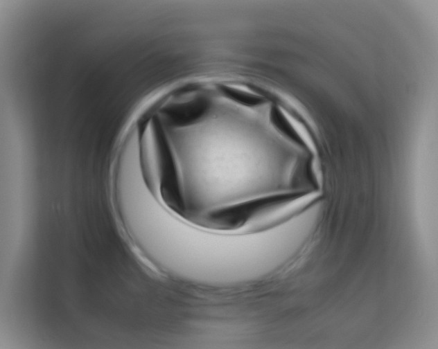 X0000113641485200910091527