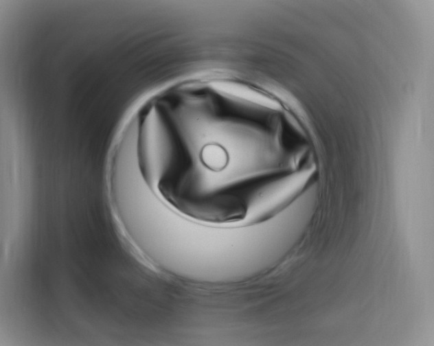 X0000113641488200910091527