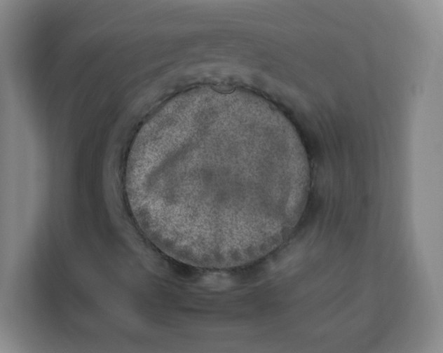 X0000113641489200910091526