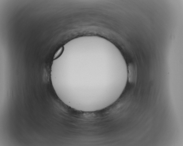 X0000113641491200910091526