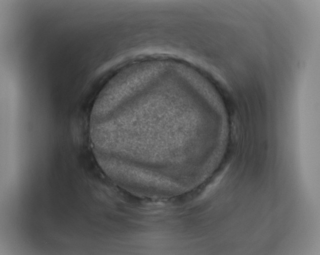 X0000113641494200910091526