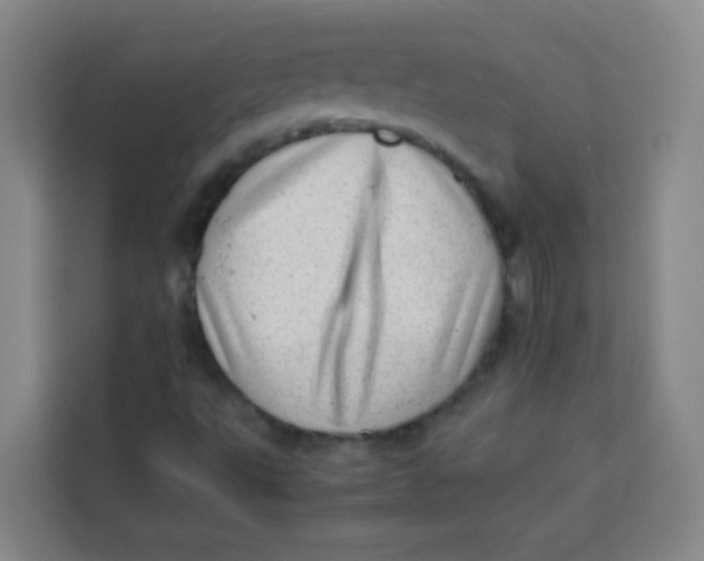 X0000113641495200910091526