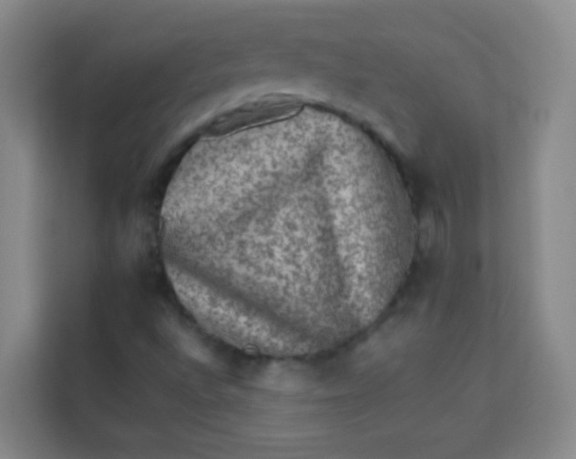 X0000113641496200910091526