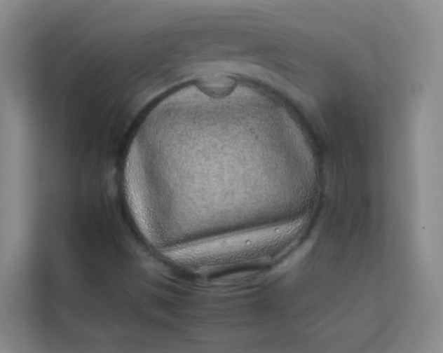 X0000113641497200910091526