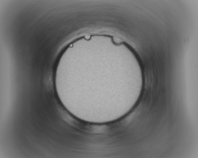 X0000113641498200910091526