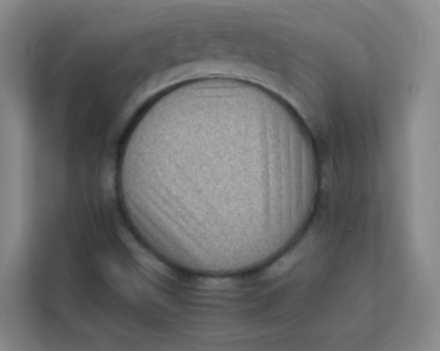 X0000113641499200910091526