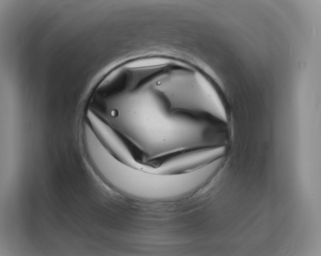 X0000113641500200910091526