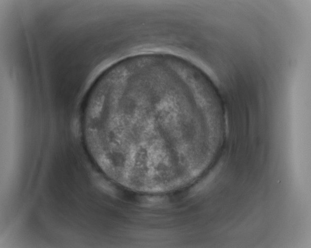 X0000113641501200910091526