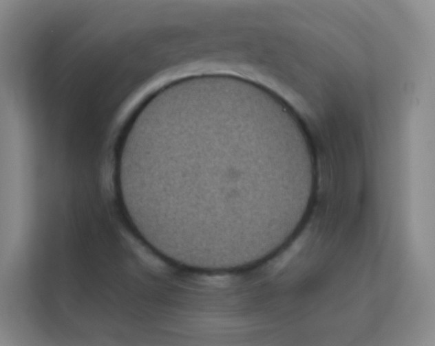 X0000113641502200910091526