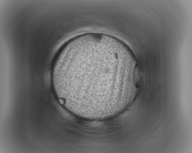 X0000113641503200910091526