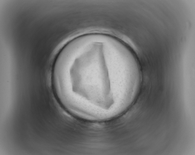 X0000113641504200910091526