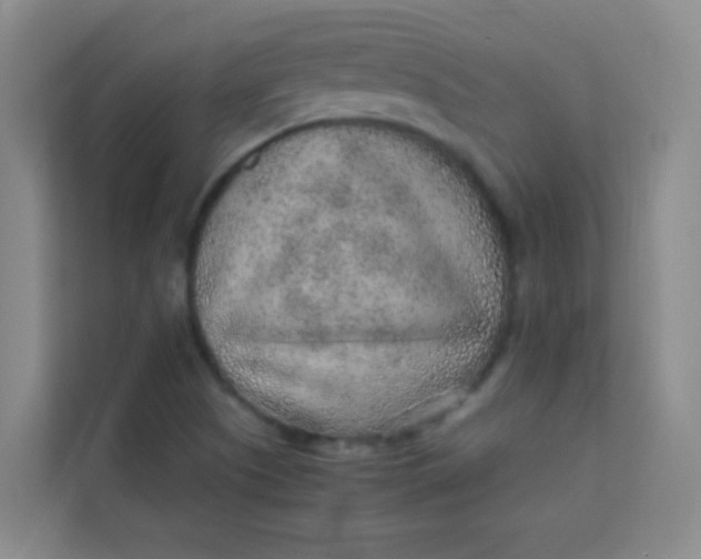 X0000113641505200910091526