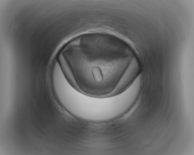 X0000113641506200910091526