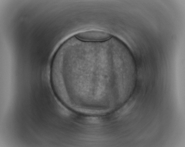 X0000113641508200910091526