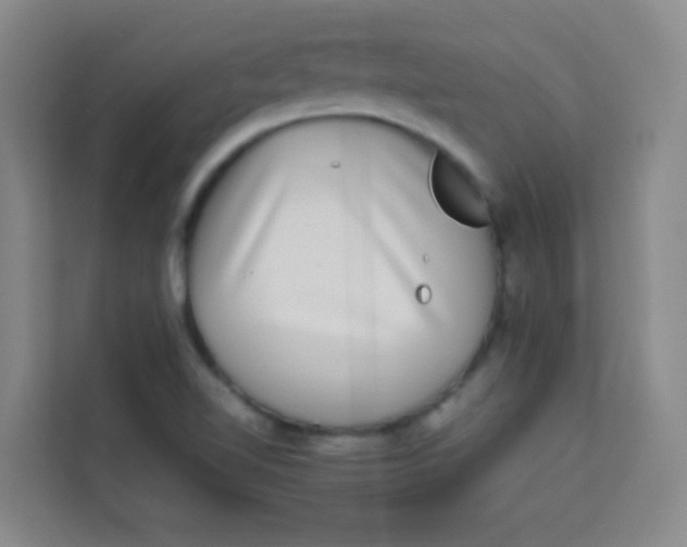 X0000113641510200910091526