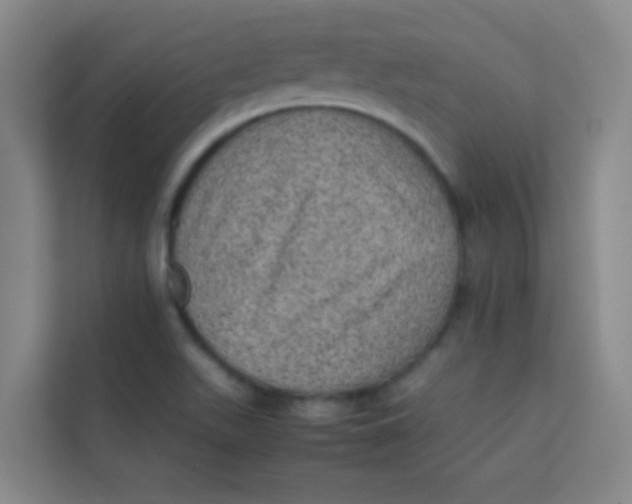 X0000113641511200910091526