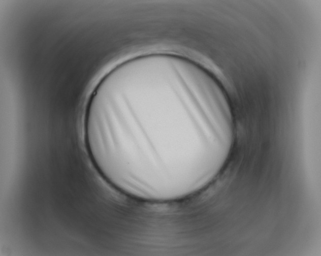 X0000113641512200910091526