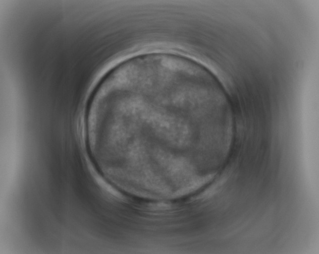 X0000113641515200910091526