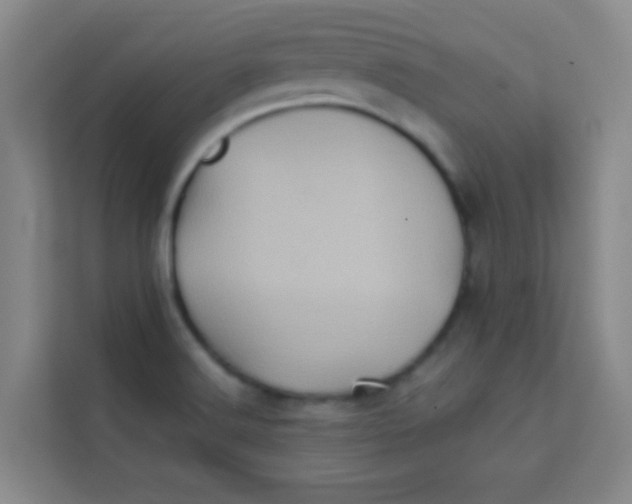 X0000113641516200910091526