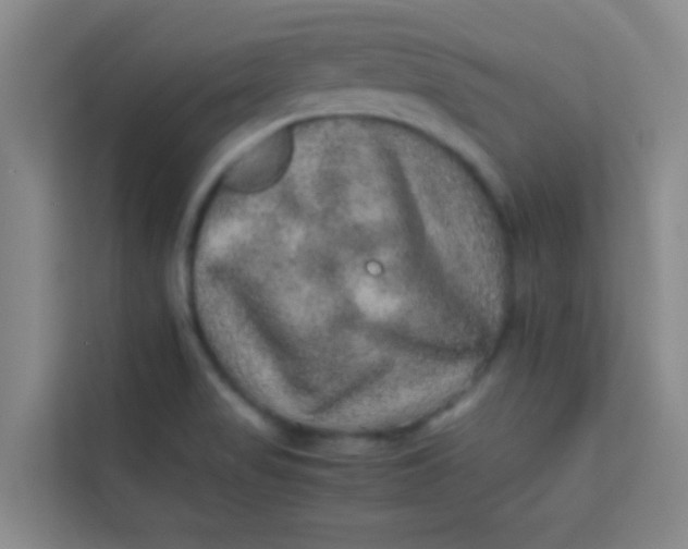 X0000113641517200910091526