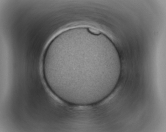 X0000113641518200910091526