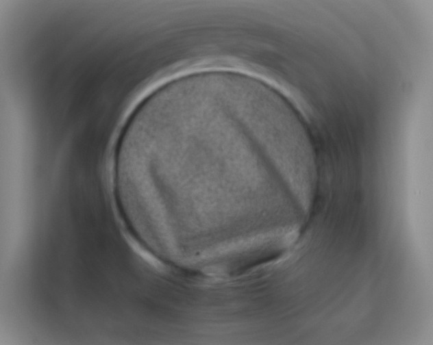 X0000113641519200910091526