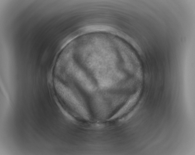 X0000113641521200910091526