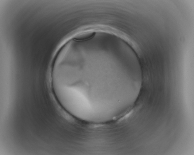 X0000113641522200910091526