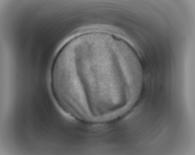 X0000113641523200910091526