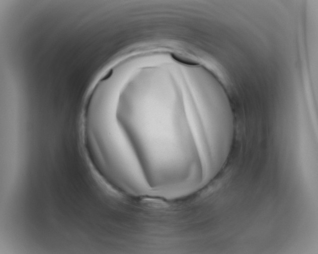 X0000113641524200910091526