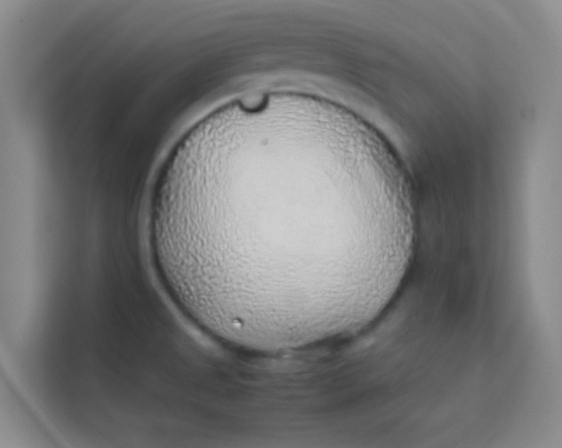 X0000113641525200910091526