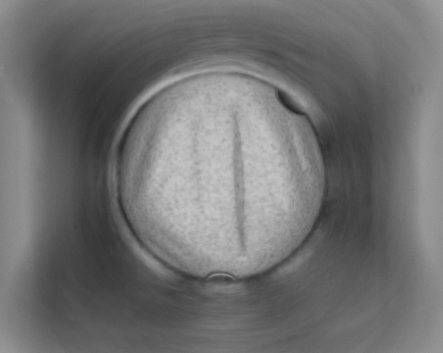 X0000113641526200910091526