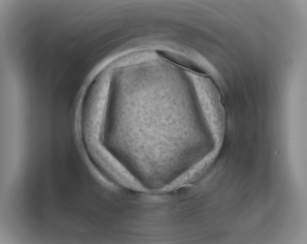 X0000113641528200910091526