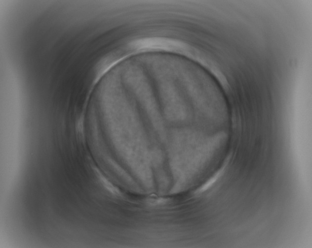 X0000113641529200910091526