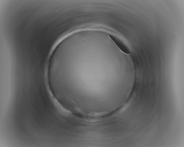 X0000113641530200910091526