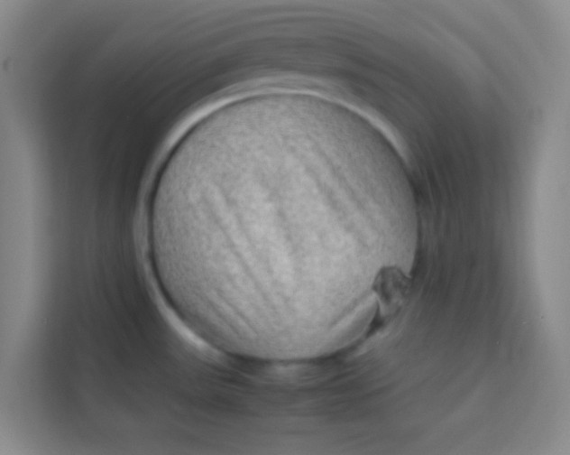 X0000113641531200910091526