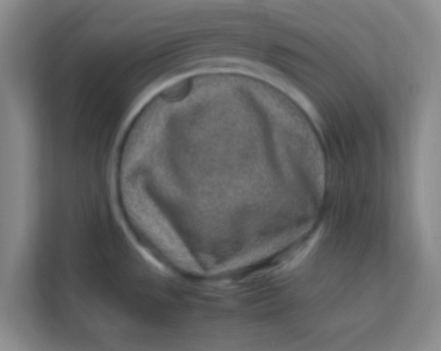 X0000113641533200910091526