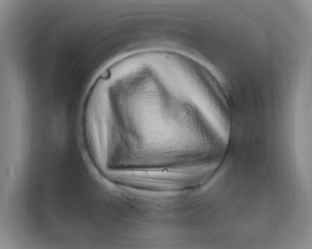 X0000113641534200910091527