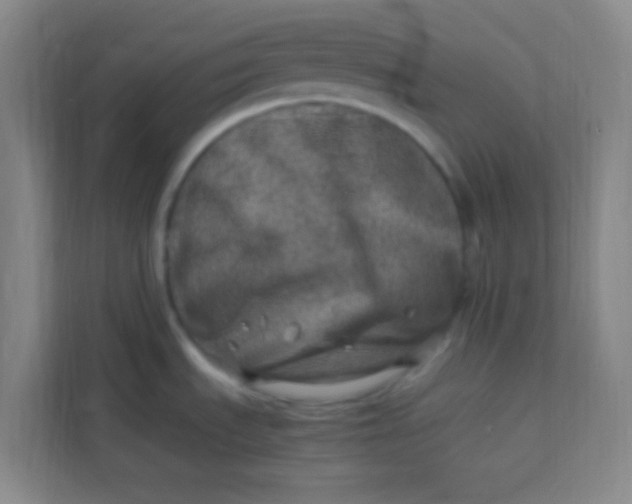 X0000113641535200910091527