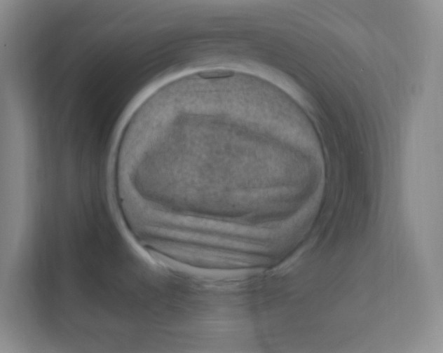 X0000113641536200910091527